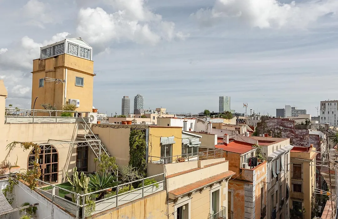 Ola Living Vidreria-1